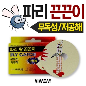 IS 파리 왕 끈끈이 5개입 x 5개