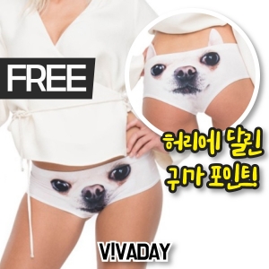 VIVA-O269 치와와팬티